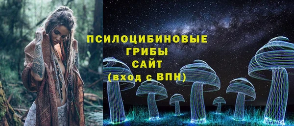 Альфа ПВП Бородино
