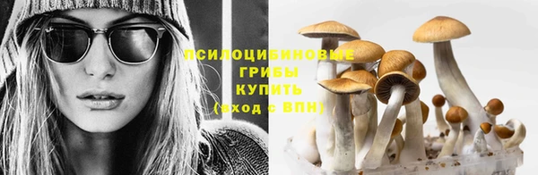 дмт Беломорск