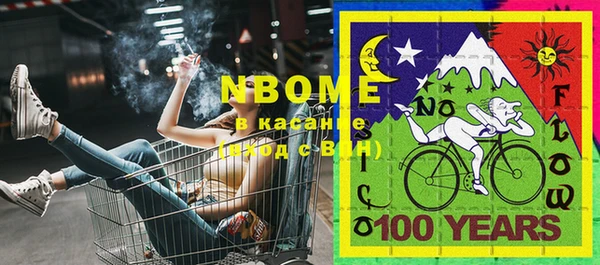 Альфа ПВП Бородино