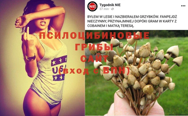 Альфа ПВП Бородино