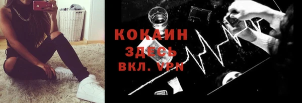 Альфа ПВП Бородино