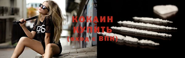 Альфа ПВП Бородино